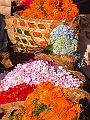 BALI FLOWERS